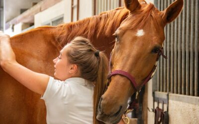 Autumn Checklist For A Healthy Horse Part 1