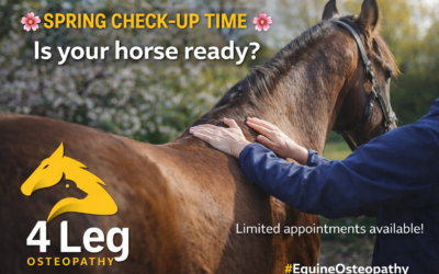Book Your Horse’s Spring Check-Up