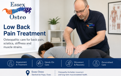 Low Back Pain: Causes, Symptoms and Treatment | Essex Osteo, Stanford-le-Hope