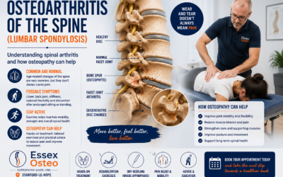 Osteoarthritis of the Spine (Lumbar Spondylosis): Causes, Symptoms and Treatment