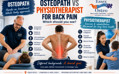 Osteopath vs Physiotherapist for Back Pain – Which Is Better? | Essex Osteo